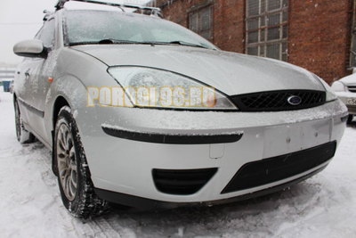 Защита радиатора Ford Focus I рестайлинг 2003-2005 black