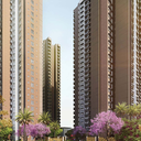 Prestige Autumn Leaves