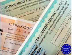 Полис осаго калининград