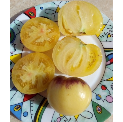 Томат Отличный белый блюз (Великолепный белый блюз, Great white blues)