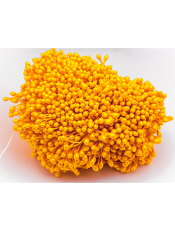 Тычинки капельки около 340 нитей , двусторонние , цвет желточный