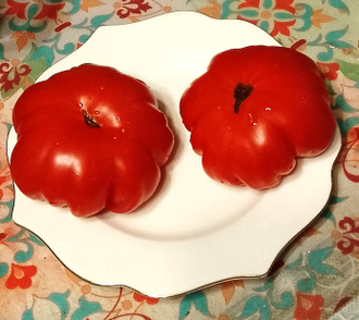 Семена томата Красный бордюр