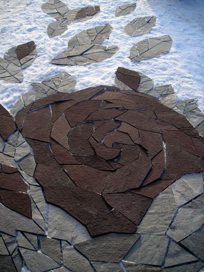 роза н снегу