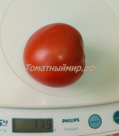 Томат Гном Австралийская Капля (Dwarf Aussie Drop)