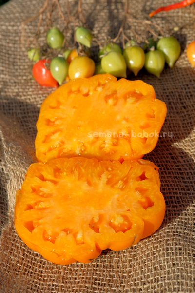 Томат Oro Giant (ОРО Гигант), 10 шт