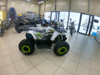 Квадроцикл ATV 125 WILD