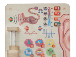 Панель "Познакомься со звуком"