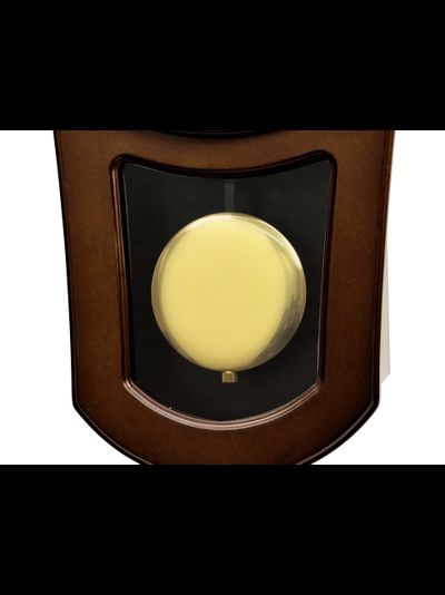 Настенные часы Rhythm CMJ576NR06