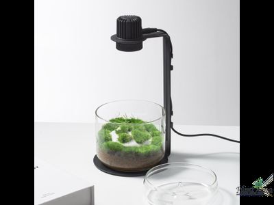 Лампа Biolark TF-03 для чаши Лудзи MY-120/120H и Пузырь.