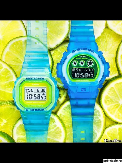 Часы Casio G-Shock DW-6900LS-2ER