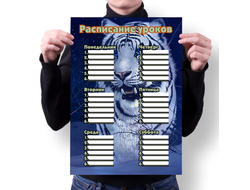 Расписание уроков год Тигра №10