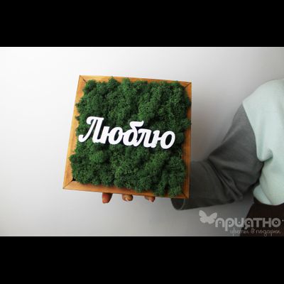 ЖИВАЯ ЭКО-КАРТИНА 1060