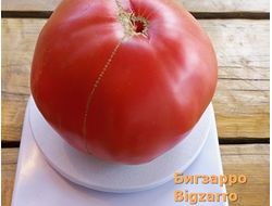 Томат  Бигзарро (Bigzarro), США