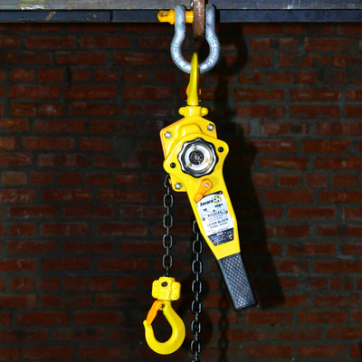 Таль ручная рычажная Secura LBII