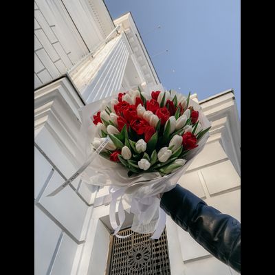 Красные тюльпаны "Поцелуй весны" 35