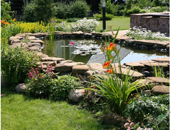 Всё для пруда