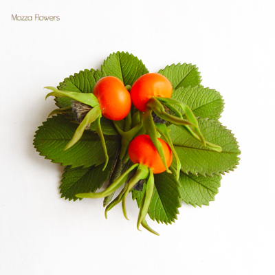 Брошь "Ягоды шиповника".