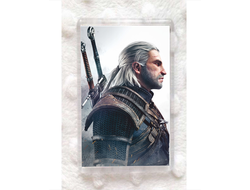 Магниты Wither, Ведьмак №1