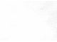 S161