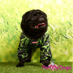 ДОЖДЕВИК ЧЕРНО/ЗЕЛЕНЫЙ НЕОН ДЛЯ МОПСОВ И ФРАНЦУЗОВ