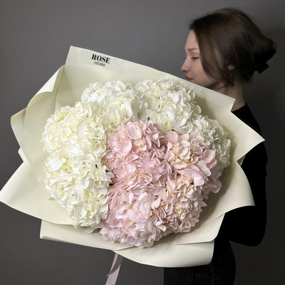 9 гортензий (цвет на выбор)