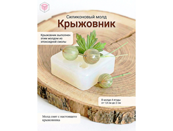 Силиконовый молд "Крыжовник"