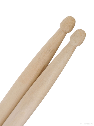 Leonty SL5BW Studio Light 5В 1