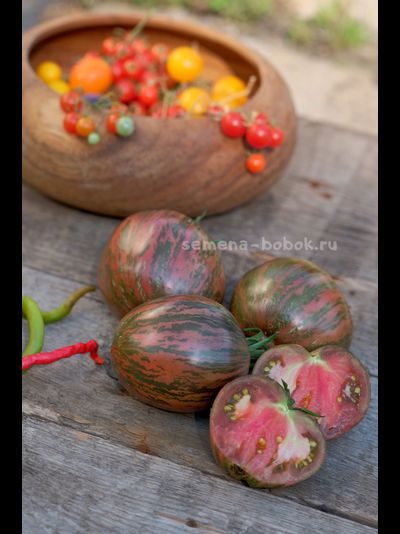 Томат Rebel Starfighter Blaine&#039;s Moonlight (Восставший Звездный Истребитель Лунный Свет Блэйна) , 10 шт