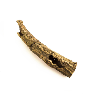 Кора пробкового дерева, полый ствол