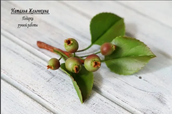 Работа Натальи Желонкиной. Использован молд "Дикие яблочки"