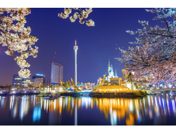 Корейский язык