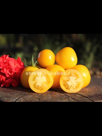 Томат Bosque Blue Bumblebee (Боске Блю Бамблби), 10 шт.