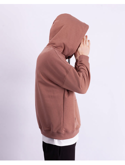 Толстовка с капюшоном Anteater Hoodie Коричневая