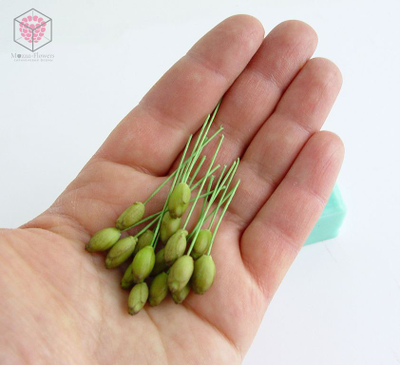 "Шишки туи" Силиконовый молд