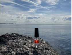 Духи НОТА: ЖЕНСКОЕ ПРИСУТСТВИЕ, 3.5 мл