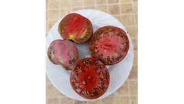 Занавес Маргарет