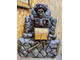 Spirit of skeleton