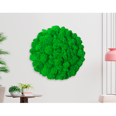 ЖИВАЯ ЭКО-КАРТИНА 1042