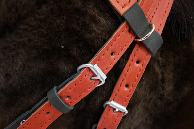 УЗДА КОЖАНАЯ(С РЕГУЛИРОВКОЙ РАЗМЕРА ОТ COB ДО FULL)