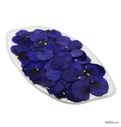 Плоские съедобные лепестки-Полярная Звезда