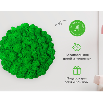 ЖИВАЯ ЭКО-КАРТИНА 1042