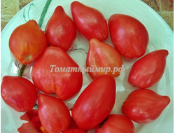 Томат Гном Десперадо ( Отчаянный, Dwarf Desperado)