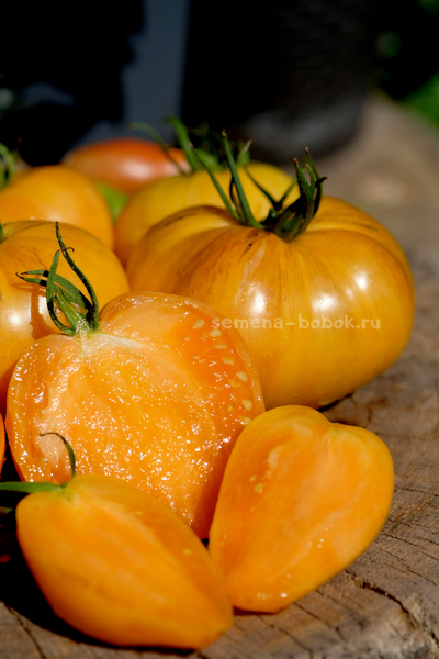 Томат Дынный Ликёр, 10 шт