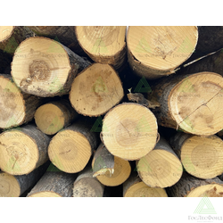 Бревна пиловочные лиственных пород (осина) ГОСТ 9462-88, 22299-76Э