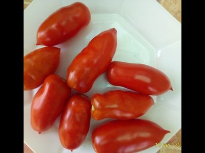 Томат Osu o Blonde avec Tetons (Пышногрудая блондинка Osu)