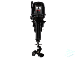 Лодочный мотор Gladiator G9.9Pro FHS (20л.с.)