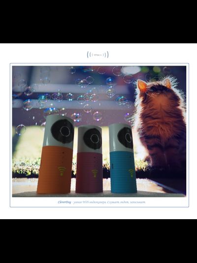 Видеоняня /WiFi видеокамера CleverDog Rose с DVR