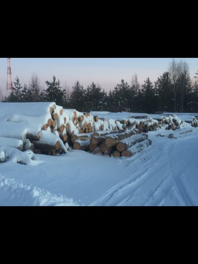 Бревно КЕЛО для изготовления срубов 24-44 см